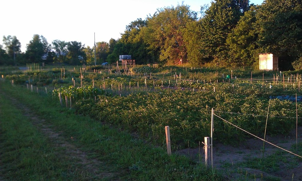 Riverside South Community Garden | Spratt Rd, Gloucester, ON K4M 0E2, Canada | Phone: (613) 822-3079