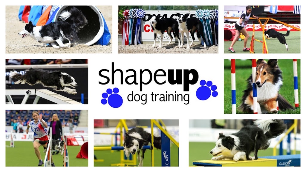 Shape Up Dogs | 55116, Range Rd 261, AB T8T 0X8, Canada | Phone: (780) 908-6350