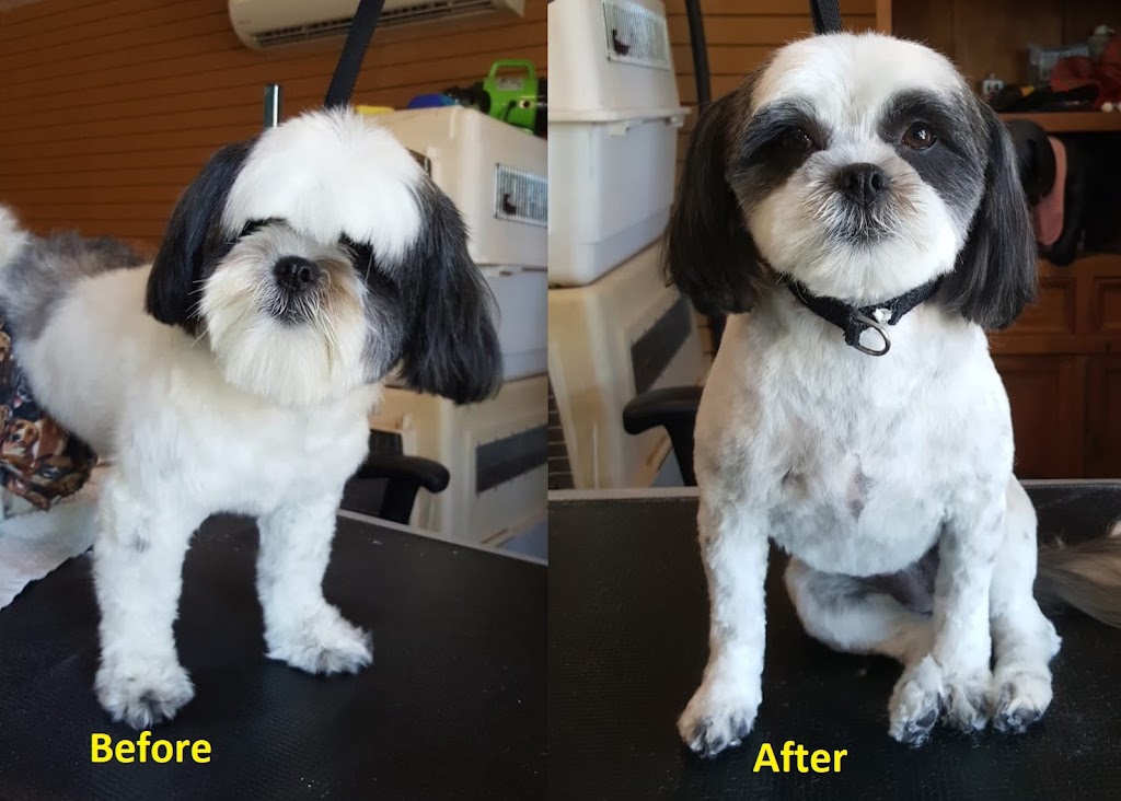 Sookezoomies Dog Grooming | 6596 Sooke Rd, Sooke, BC V9Z 0A7, Canada | Phone: (778) 365-1753