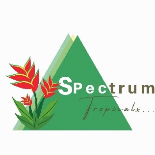 Spectrum Tropicals Inc | 325605 Norwich Rd, Norwich, ON N0J 1P0, Canada | Phone: (519) 732-8323