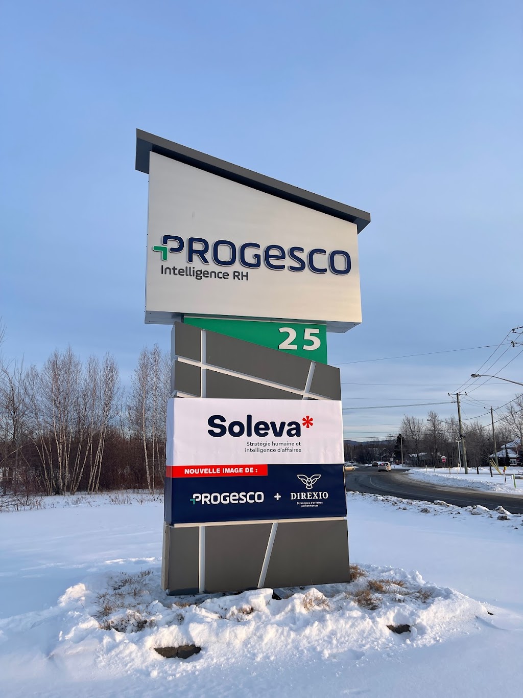 Progesco Inc | 25 Rue François Bourgeois, Victoriaville, QC G6T 2G9, Canada | Phone: (819) 752-3132