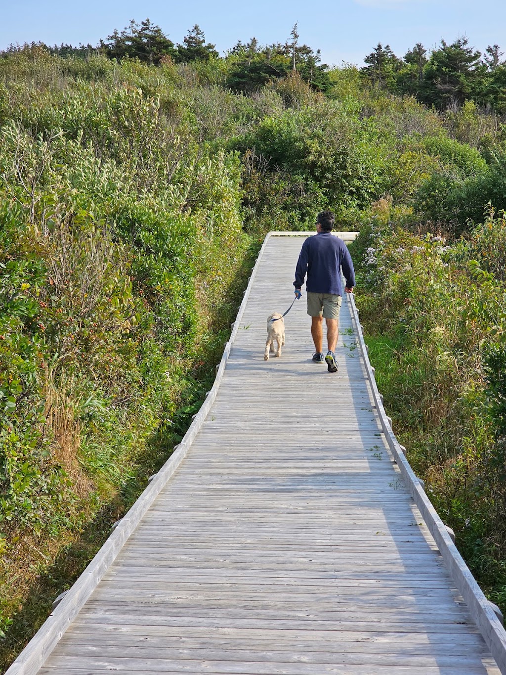 Inverness Beach Village | 50 Inverness Beach Village Rd, Inverness, NS B0E 1N0, Canada | Phone: (902) 258-2653