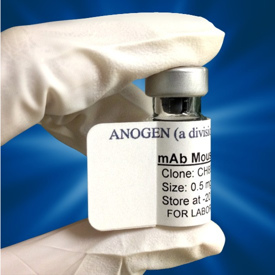 Anogen - Yes Biotech Laboratories Ltd | 2355 Derry Rd E #23, Mississauga, ON L5S 1V6, Canada | Phone: (905) 677-9221