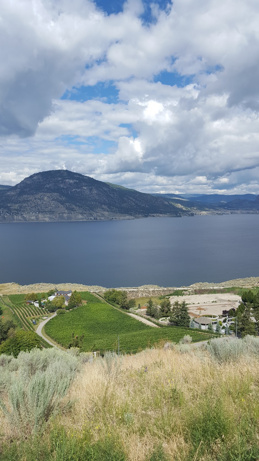 Monster Vineyards | 1010 Tupper Ave, Penticton, BC V2A 8T6, Canada | Phone: (250) 493-9463