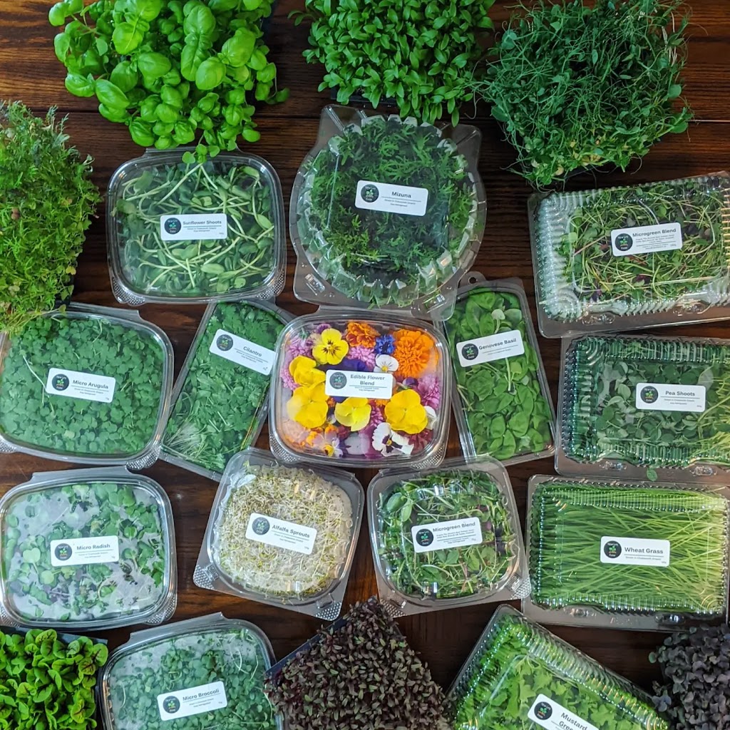 New Life Farm Microgreens & Edible Flowers | 23 Lundolder Dr, Chatsworth, ON N0H 1G0, Canada | Phone: (519) 270-3418