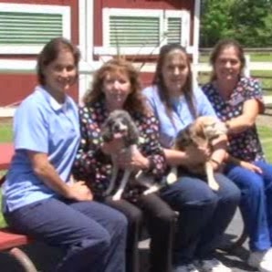 Hamburg Veterinary Clinic | 3646 Pleasant Ave #4602, Hamburg, NY 14075, USA | Phone: (716) 649-2457