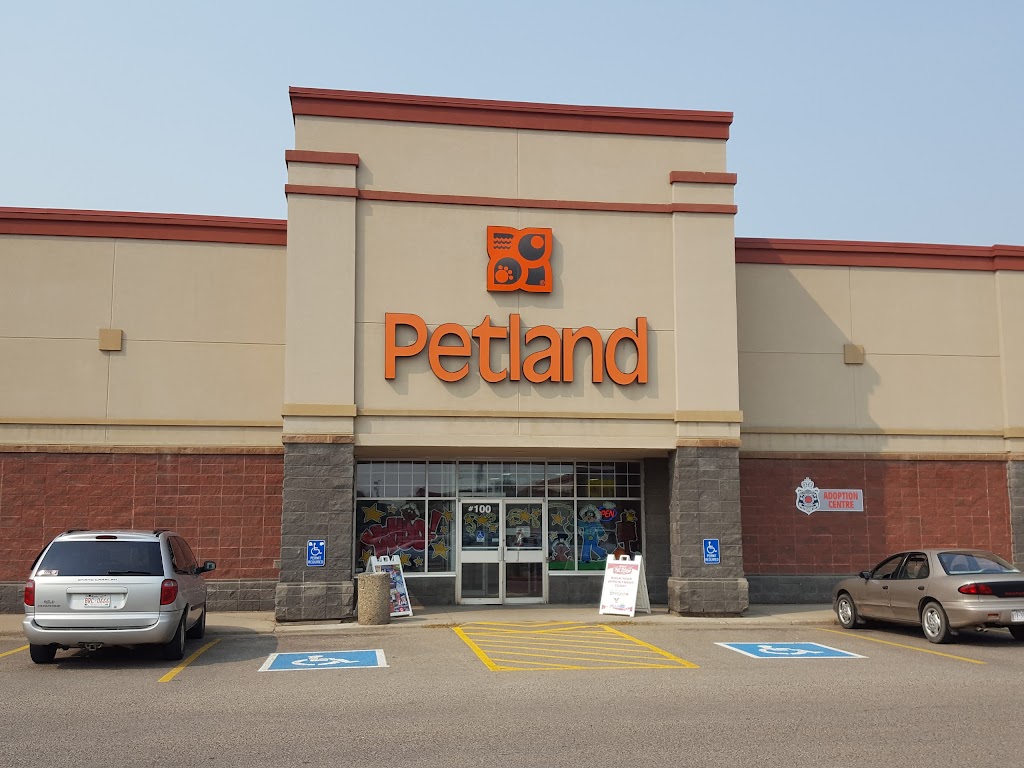 Petland Red Deer | 5250 22 St, Red Deer, AB T4R 2T4, Canada | Phone: (403) 309-4800