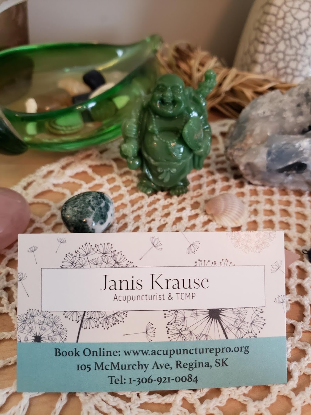 Janis Krause Acupuncture | 358 University Park Dr, Regina, SK S4V 0Y8, Canada | Phone: (306) 921-0084