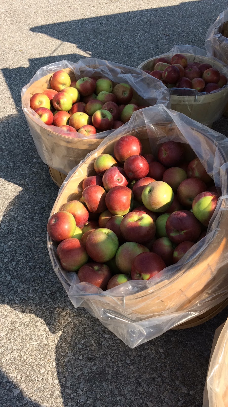 Creemore Farmers Market - NOW Closed until 22 May 2021 | 10 Caroline St E, Creemore, ON L0M 1G0, Canada | Phone: (705) 818-1251