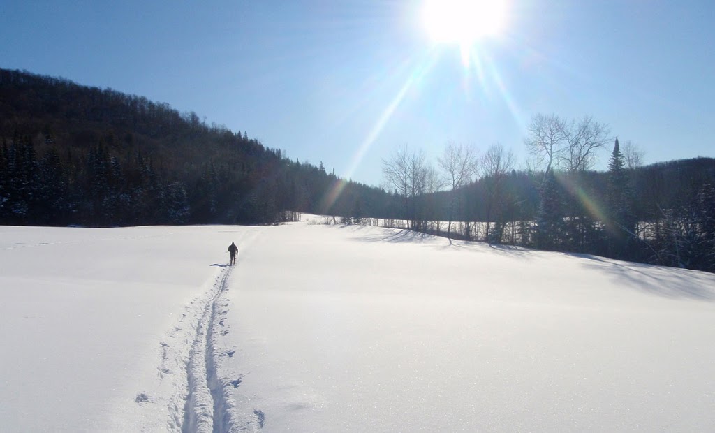 Chalet Venezia Mont-Tremblant | 53 Chemin du Domaine Alarie, Brébeuf, QC J0T 1B0, Canada | Phone: (514) 260-6141