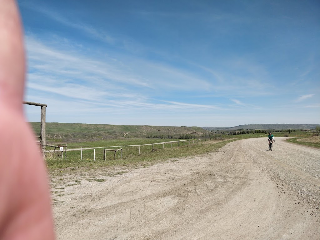 WineGlass Ranch | 253197 Towers Trail, Cochrane, AB T4C 1A5, Canada | Phone: (403) 807-3988