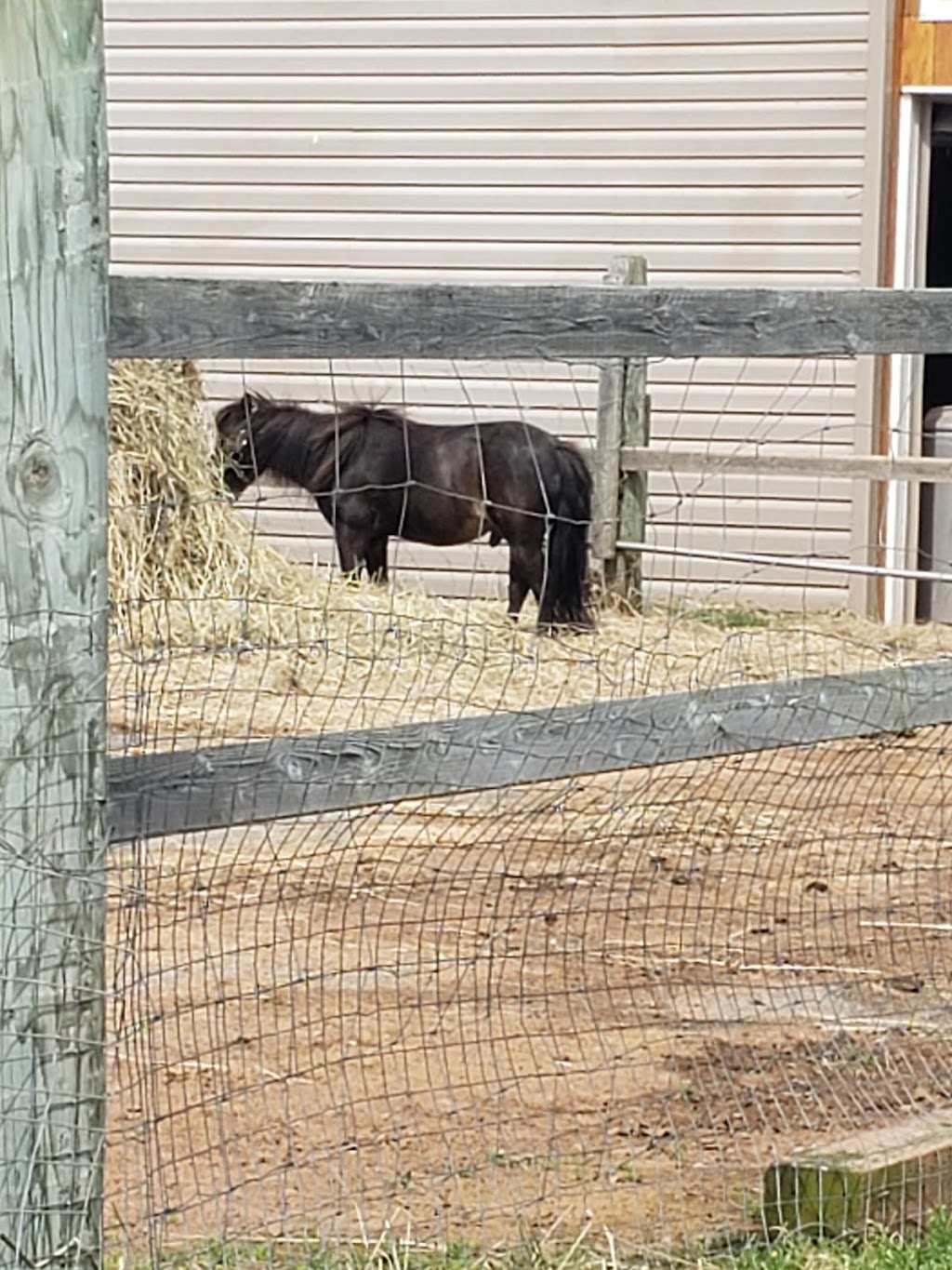 CNG Country Cabins | 3041 Brackley Point Rd, Brackley Beach, PE C1E 2N8, Canada | Phone: (902) 672-1400