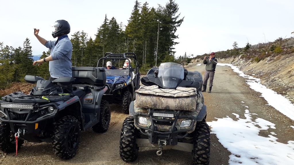 The Slopes at the Lake | Winter Drive, Lake Cowichan, BC V0R 2G0, Canada | Phone: (250) 932-1692