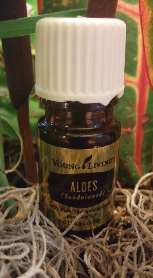 Aloes Essence | 730 Peter Hall Dr, Newmarket, ON L3X 2V6, Canada | Phone: (416) 219-4521