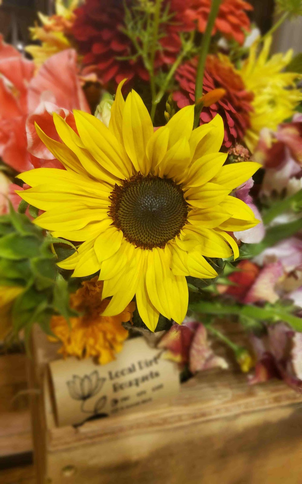 Local Dirt Bouquets | 61507 RR25, Westlock County, AB T0G 1R0, Canada | Phone: (780) 674-1527