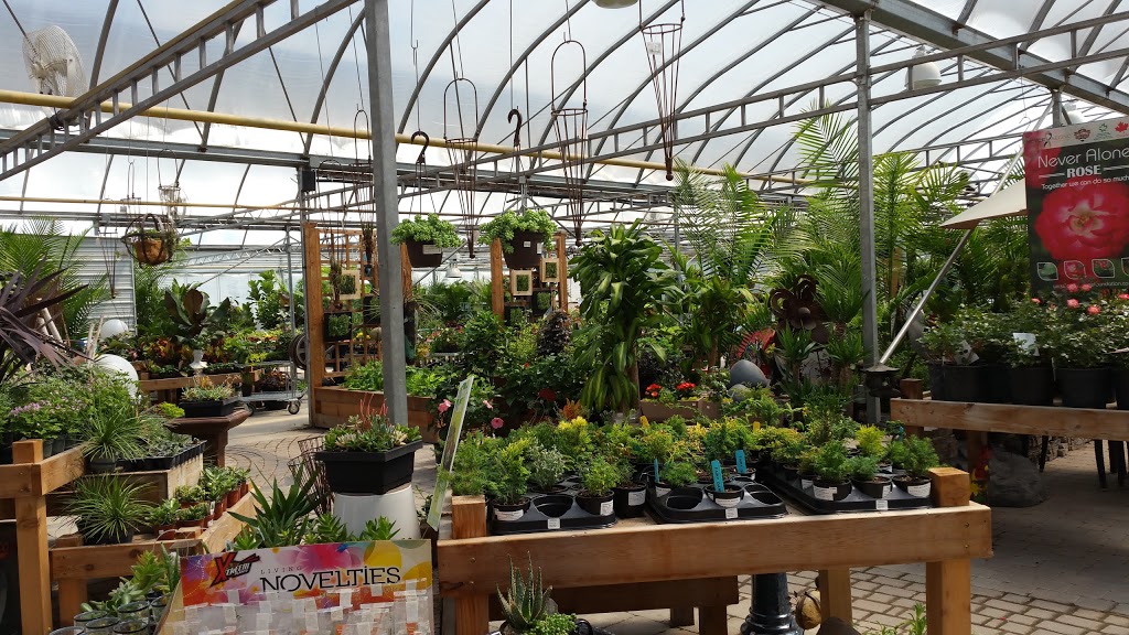 Sunshine Nursery & Greenhouse | 824 Main St Unit A, Steinbach, MB R5G 2H4, Canada | Phone: (204) 326-9053