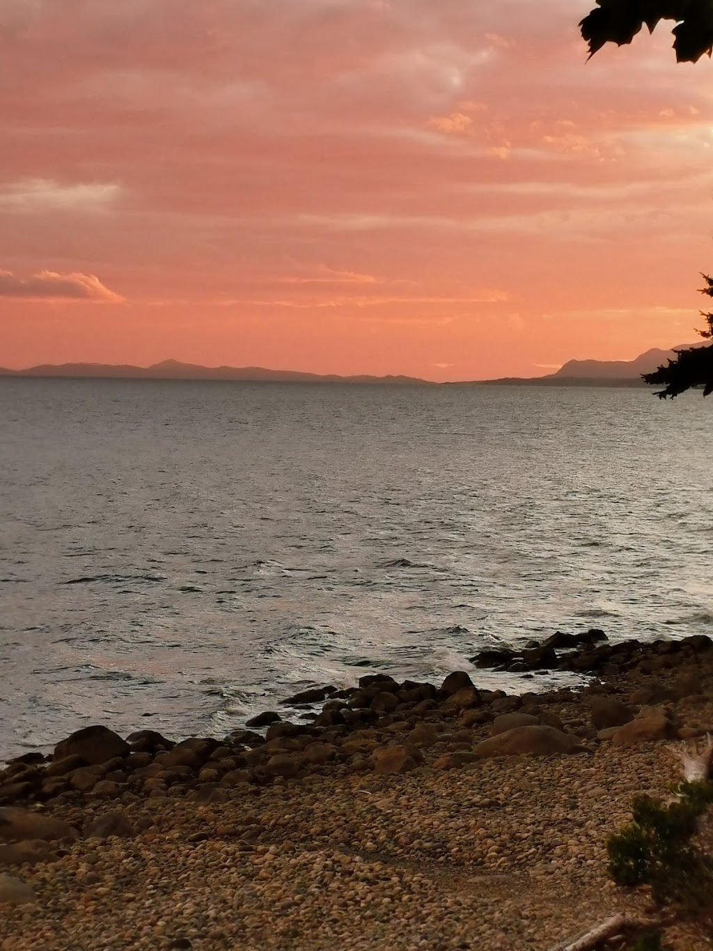 West Coast Wildlife Education and Conflict Management. | 3263 Beach Ave, Roberts Creek, BC V0N 2W2, Canada | Phone: (604) 865-0588