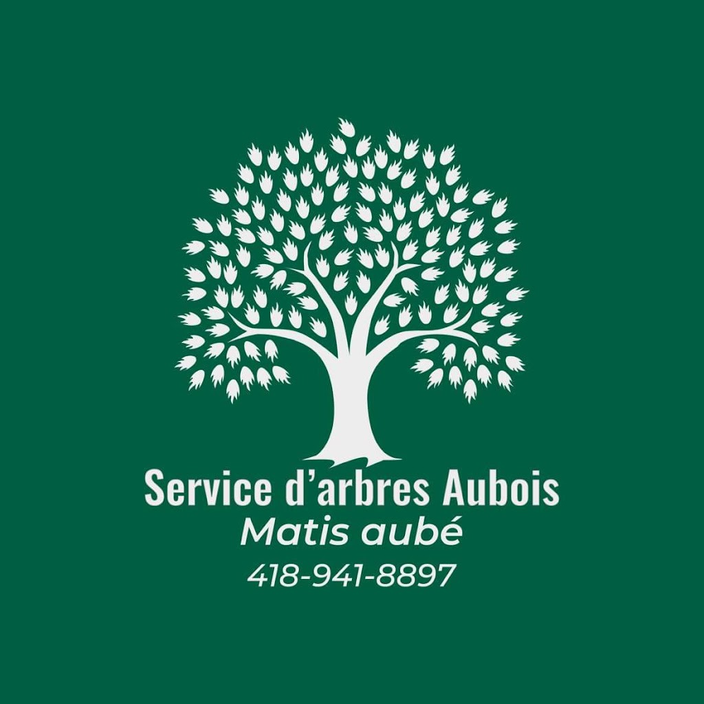 Service dArbres Aubois | 511 Chem. du Golf, Montmagny, QC G5V 3R9, Canada | Phone: (418) 941-8897