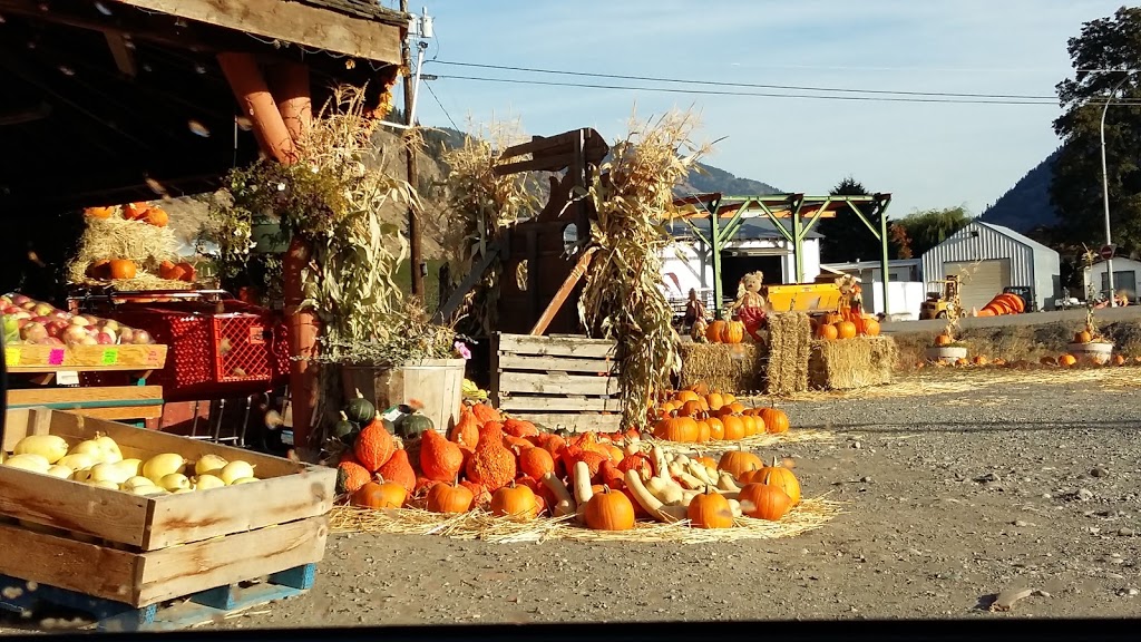 Bears Fruit Stand | 991 Keremeos Bypass Rd, Keremeos, BC V0X 1N0, Canada | Phone: (250) 499-2814