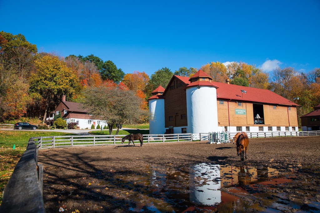 Sunnybrook Stables | 1132 Leslie St, North York, ON M3C 3L7, Canada | Phone: (416) 444-4044