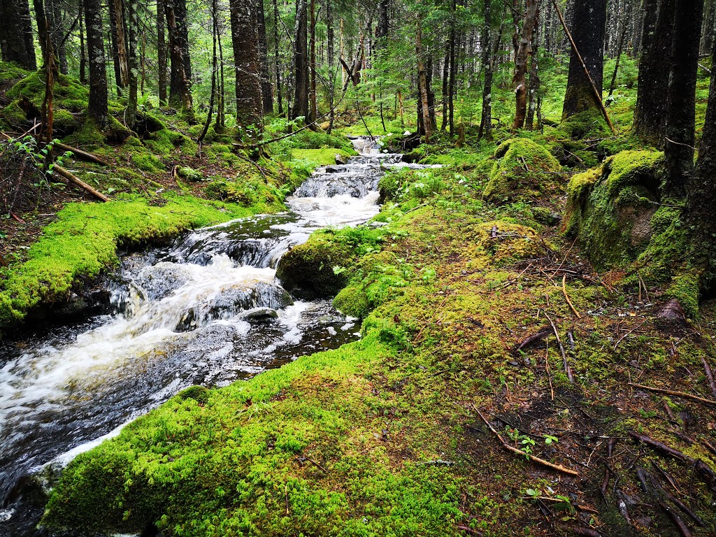 Economy River Wilderness Area | Economy, NS B0M 1J0, Canada | Phone: (902) 424-3600