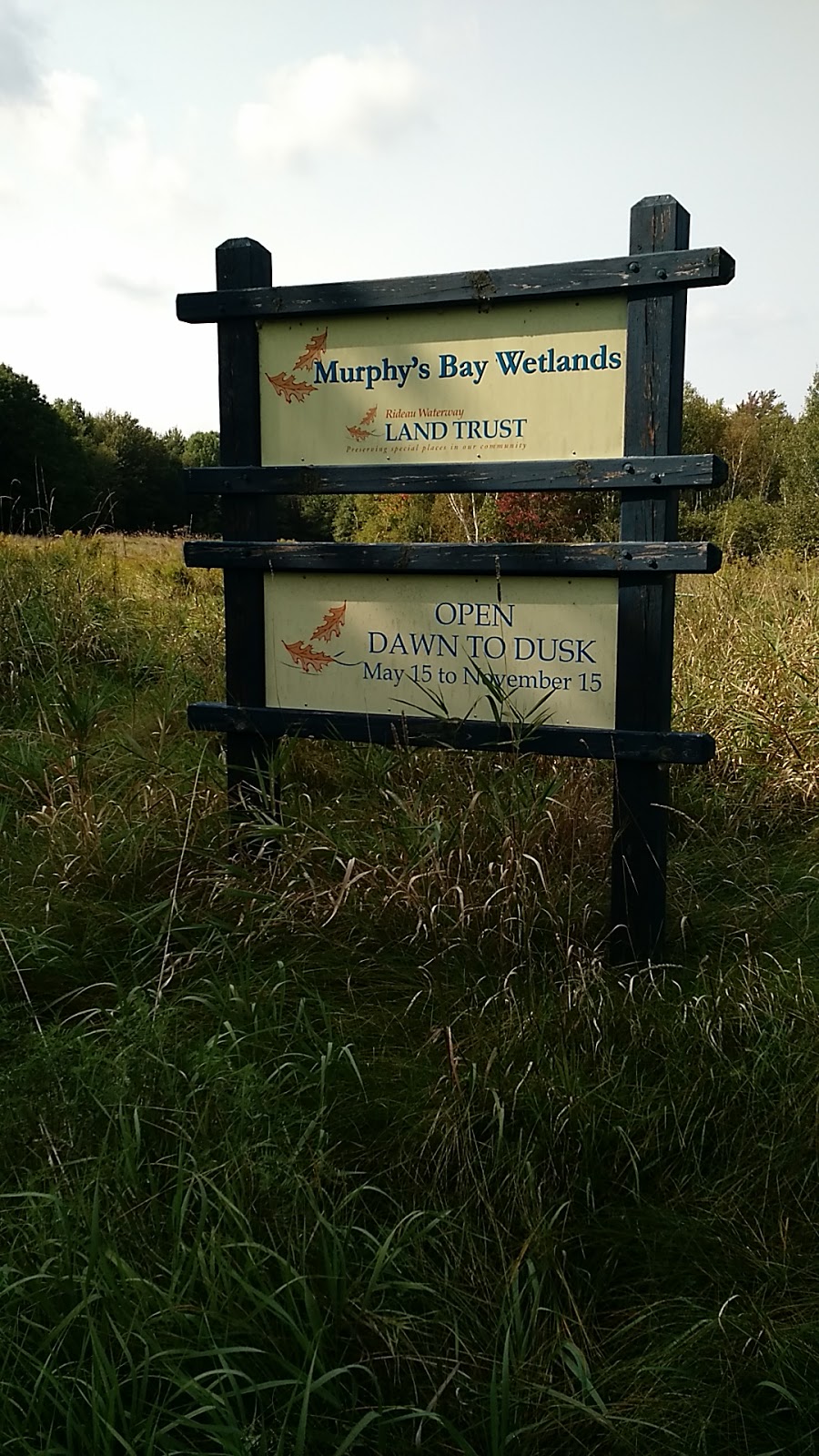 Murphys Bay Wetlands - Rideau Waterway Land Trust | Rideau Lakes, ON K0G 1E0, Canada