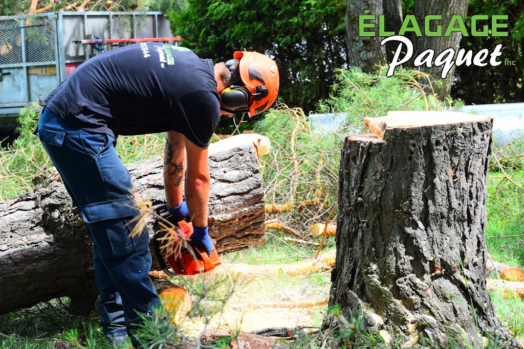 Élagage Paquet Inc. | 1546 22e Rue, Saint-Côme-Linière, QC G0M 1J0, Canada | Phone: (438) 829-2644