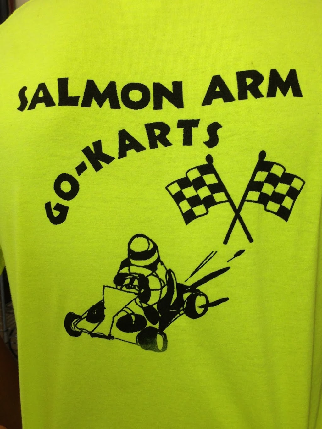 Salmon Arm Go-Karts & Mini-Golf | 5980 60 Ave NE, Canoe, BC V0E 1K0, Canada | Phone: (250) 832-3177