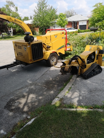 STS Tree Services | 7531 Ninth Line, Mississauga, ON L5N 0C1, Canada | Phone: (905) 821-7877