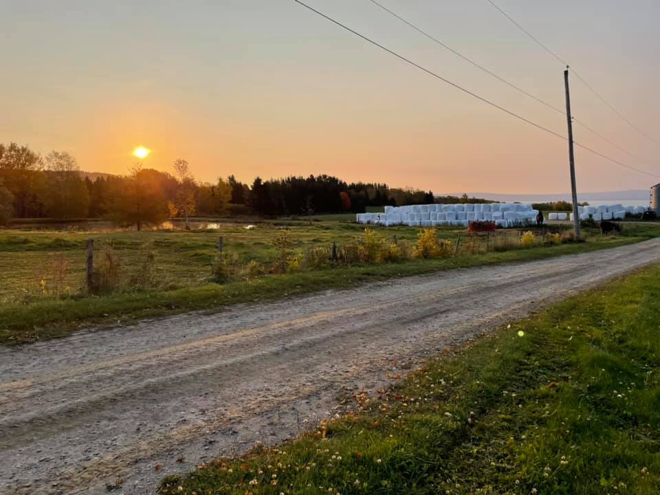 Farm Déliska | 1996 Rte. du Fleuve, Les Éboulements, QC G0A 2M0, Canada | Phone: (418) 633-2671