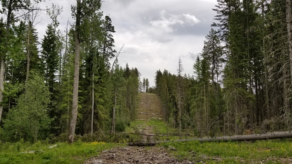 Shunda Viewpoint Group Use Site | Unnamed Road, Saunders, AB T0M 2H0, Canada | Phone: (855) 721-3975