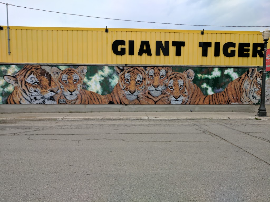 Giant Tiger | 201 Main St E, Listowel, ON N4W 2B8, Canada | Phone: (519) 291-1241