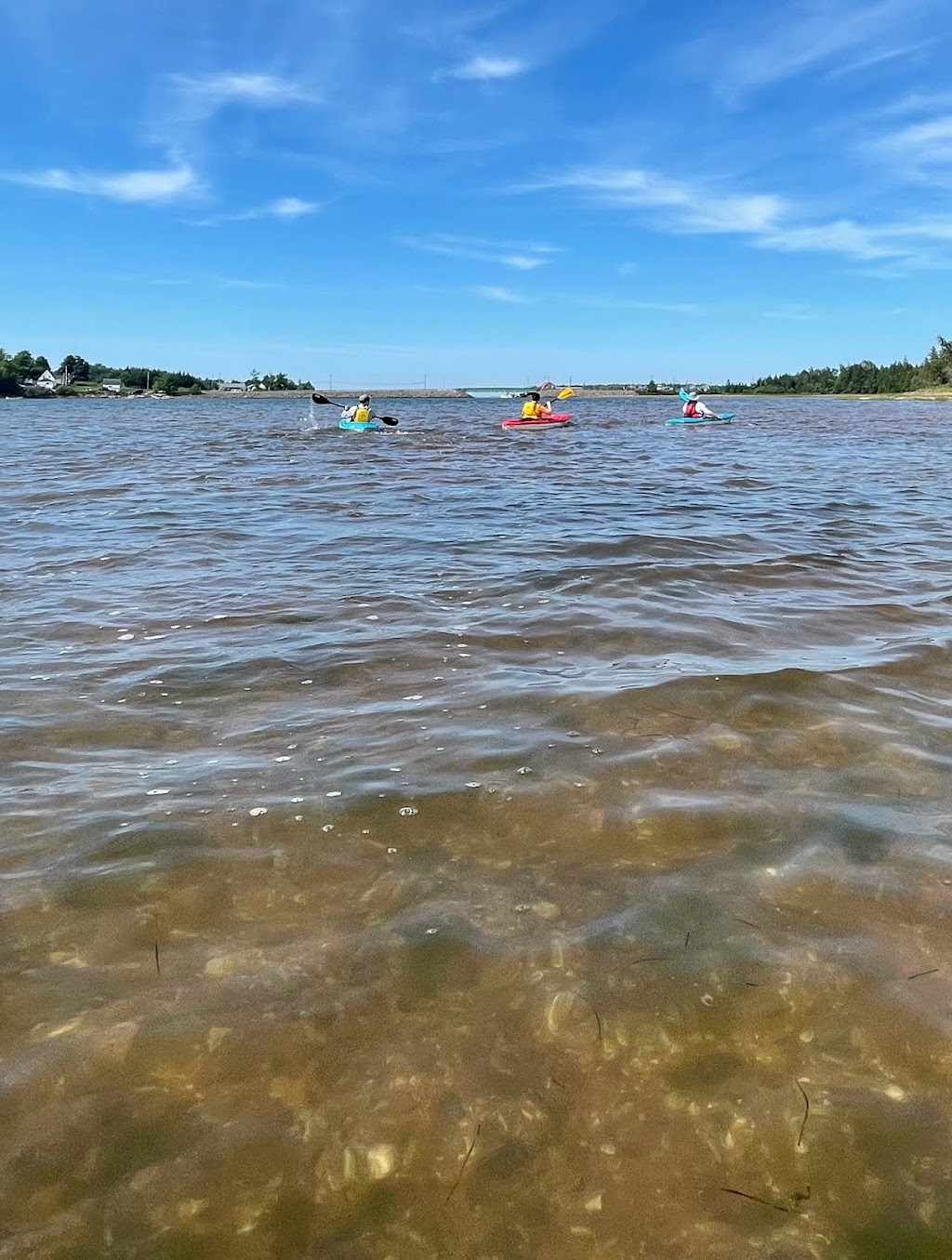 Stanley Bridge Marina | Prince Edward Island, Canada | Phone: (902) 886-2352