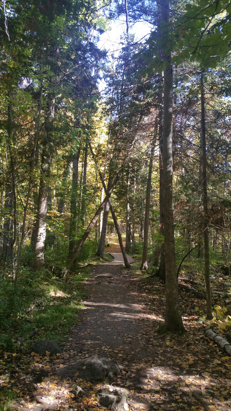 Jack Pine Trail | Moodie Dr, Nepean, ON K2R 1H4, Canada