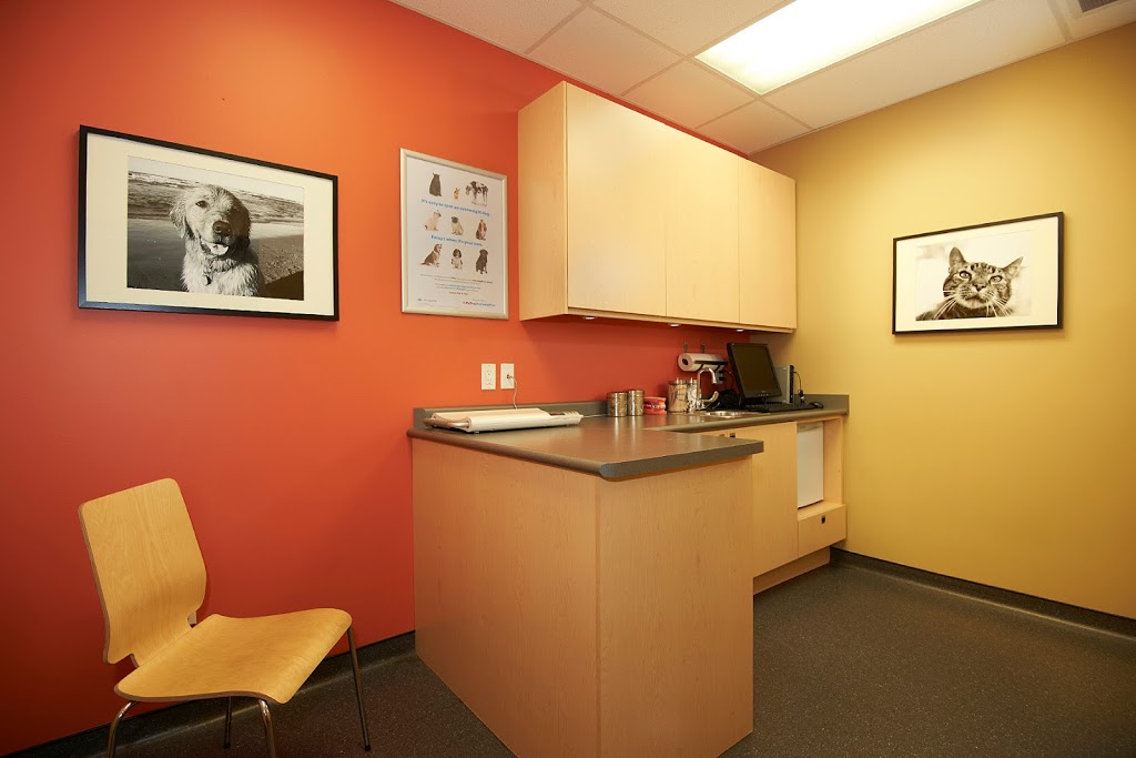 Dundas West Animal Hospital | 2160 Dundas St W, Toronto, ON M6R 1X3, Canada | Phone: (416) 535-8387