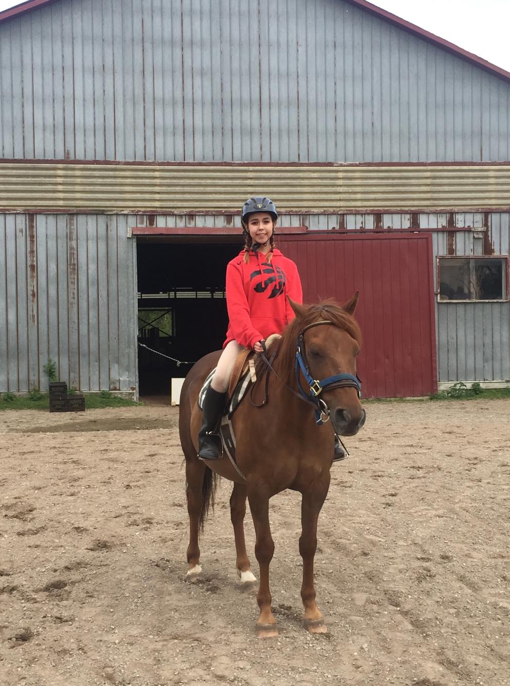 Victoria Rode Horses | 1065 Victoria Rd S, Guelph, ON N1L 1B3, Canada | Phone: (519) 803-0160