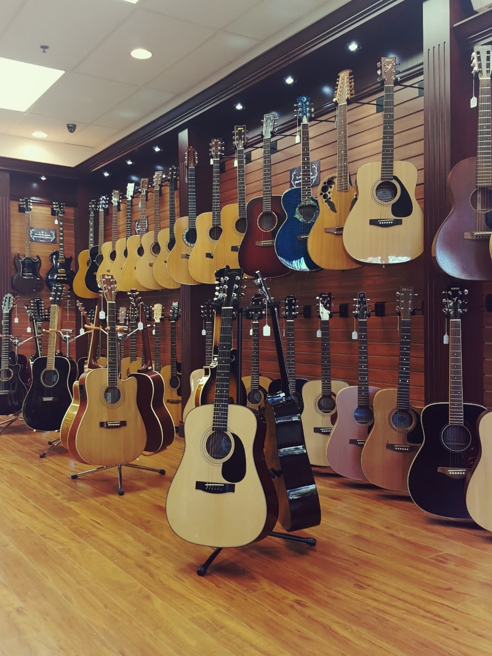 A-One Musical Instruments | 2641 Commercial Dr, Vancouver, BC V5N 4C3, Canada | Phone: (604) 875-8005