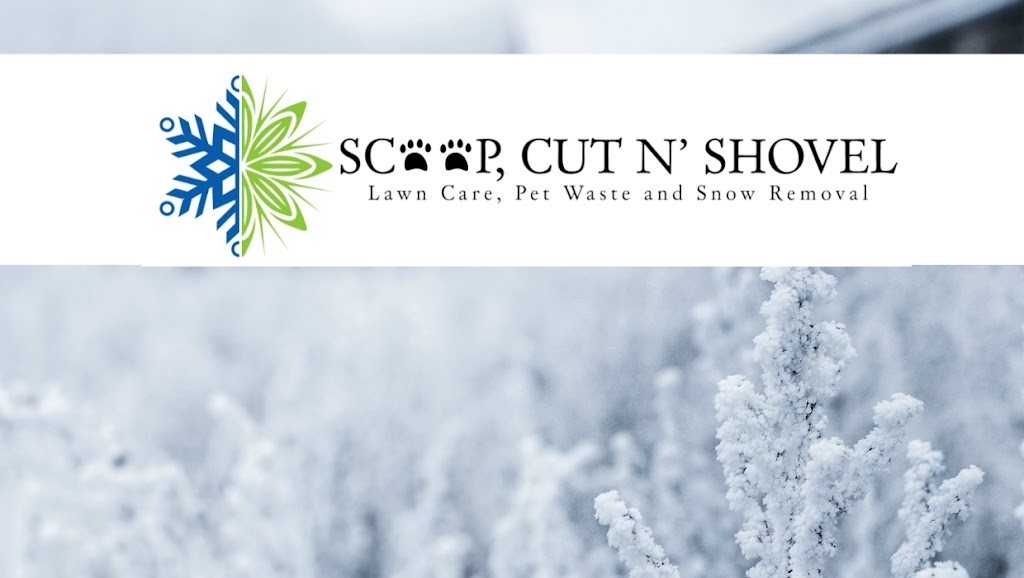 Scoop, Cut N Shovel Property Maintenance | 341 Hidden Valley Pl NW, Calgary, AB T3A 5L7, Canada | Phone: (403) 818-5973