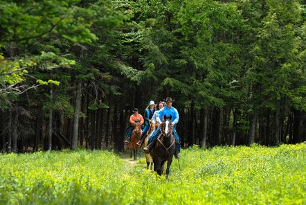 Crazy Horse Ranch | 318 QC-161, Saint-Christophe-dArthabaska, QC G6R 0M9, Canada | Phone: (819) 350-9296