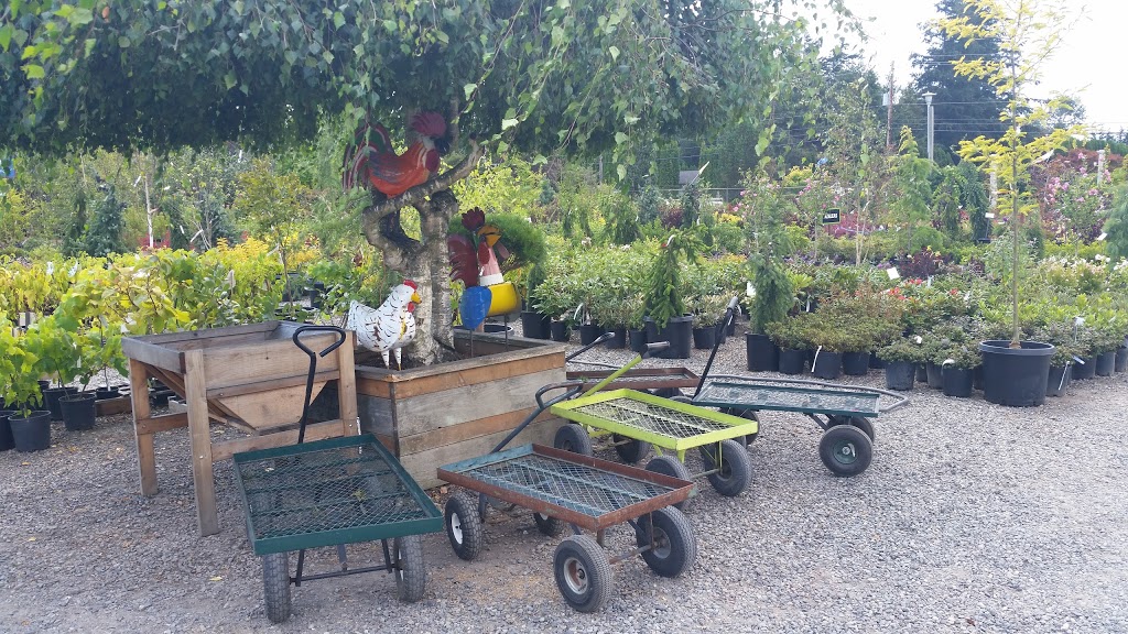 Kents Garden & Nursery | 5428 Northwest Dr, Bellingham, WA 98226, USA | Phone: (360) 384-4433