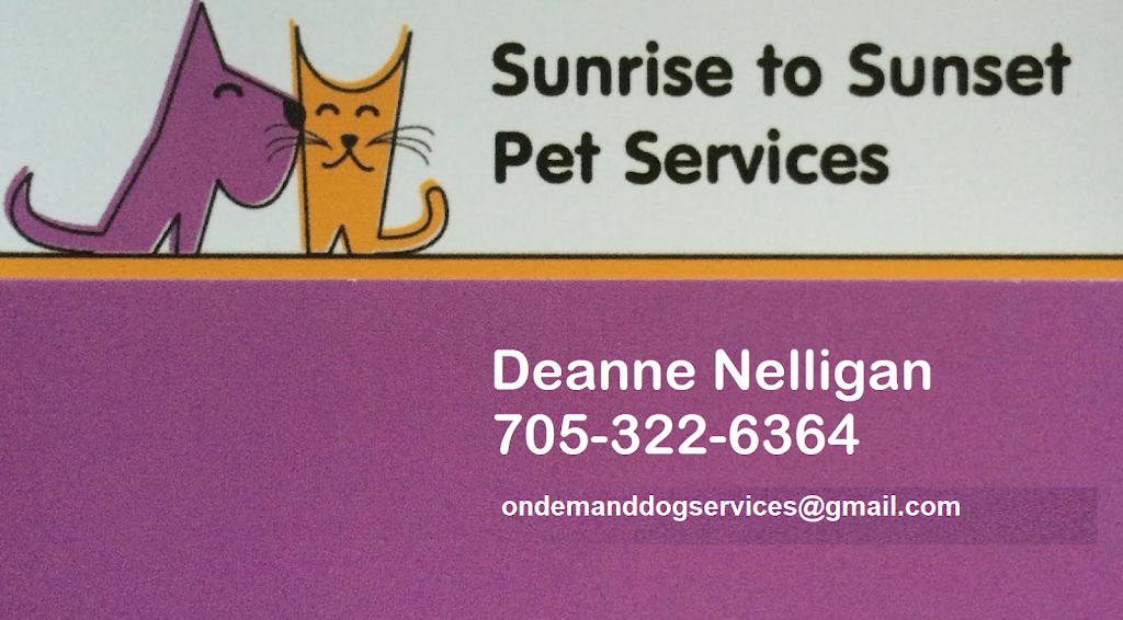 Sunrise to Sunset Pet Services | 189 Cumming Dr, Barrie, ON L4N 0C9, Canada | Phone: (705) 322-6364