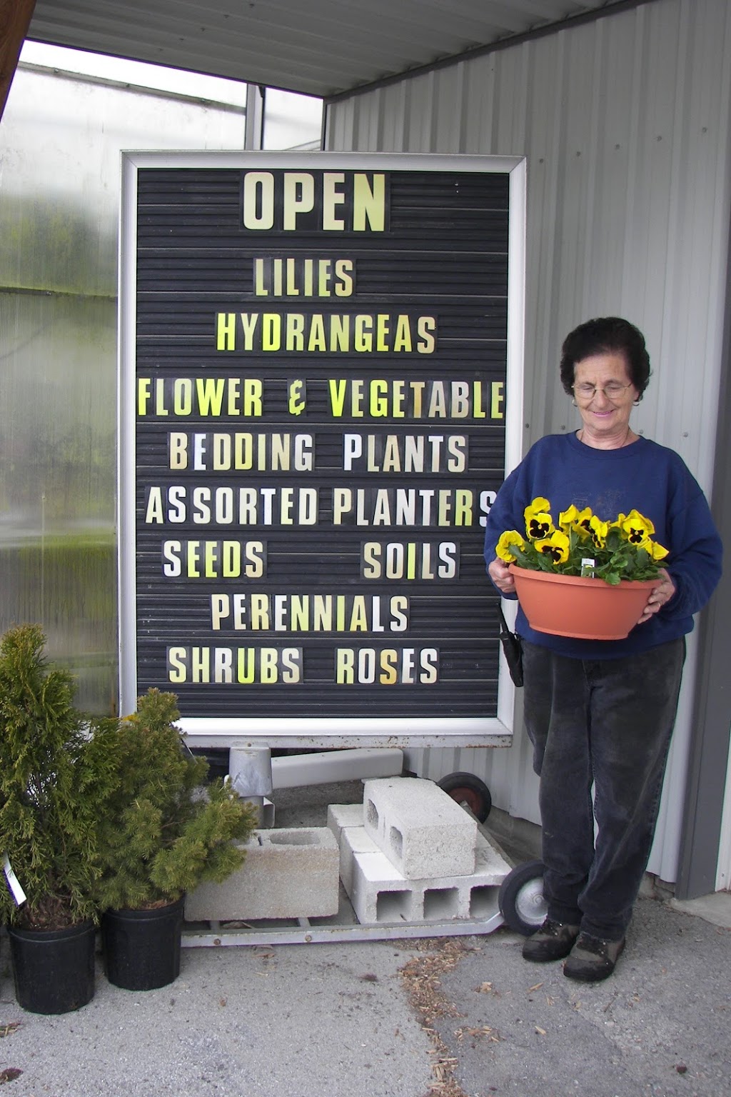 Debono Greenhouses & Garden Centre | 771 Concession 11 Townsend, Waterford, ON N0E 1Y0, Canada | Phone: (519) 443-7300