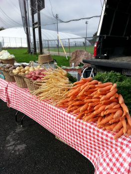 Ripple Trail Farm Ltd. | turn off at Route 81, then 10.4 kilometres down the main road, through, Markland, NL A0B 1G0, Canada | Phone: (709) 685-1360