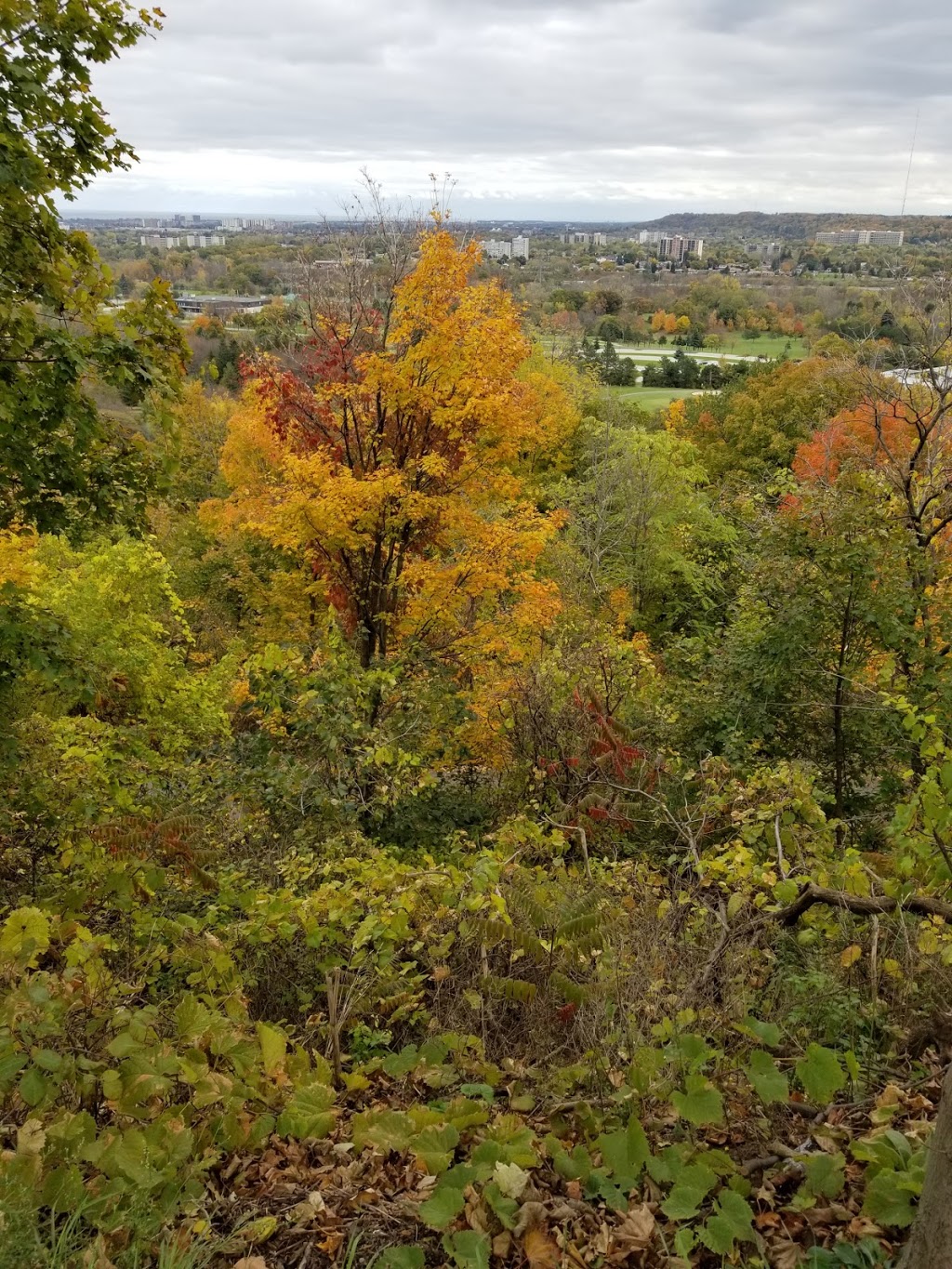 Rail Trail | Mountain Brow Blvd, Hamilton, ON L8T 1A9, Canada