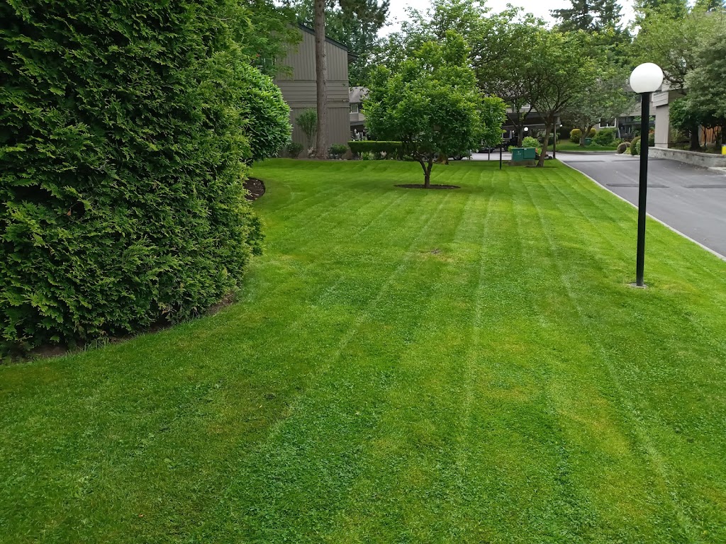 Moda Landscaping | 2833 East Kent Ave N #1204, Vancouver, BC V5S 3T9, Canada | Phone: (778) 872-1118