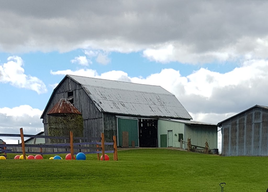 Coltons Fun Farm | 109 Jerseyville Rd, Brantford, ON N3T 5M1, Canada | Phone: (519) 209-7654