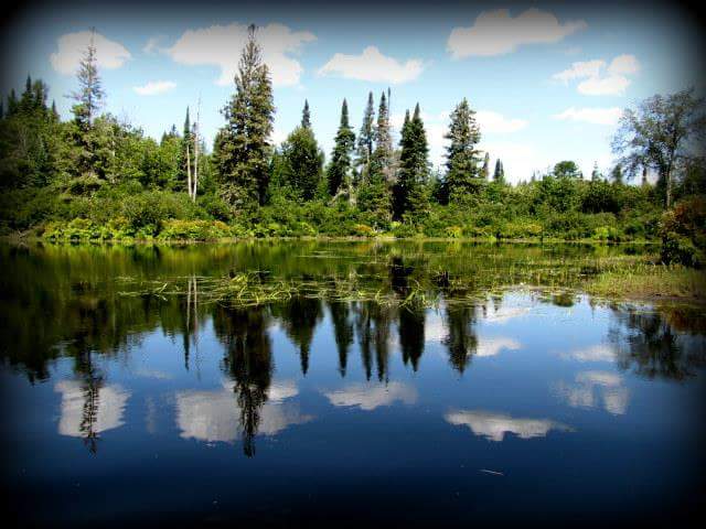 Granite Ridge Campground | 2900 Hwy 518 E, Kearney, ON P0A 1M0, Canada | Phone: (705) 636-1474