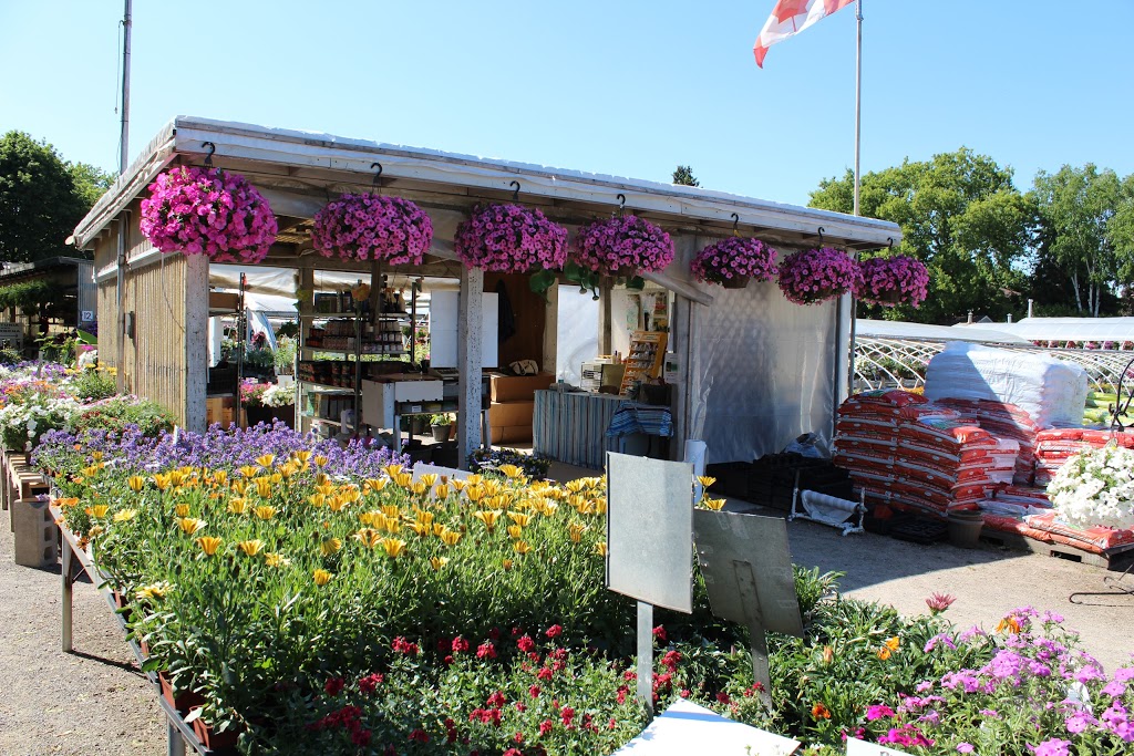 Springbank Greenhouses | 1625 N Sheridan Way, Mississauga, ON L5H 3N5, Canada | Phone: (905) 278-5964