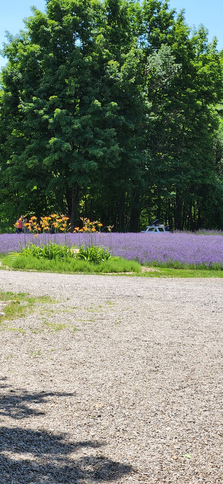 Les Jardins Arômes et Saveurs | 121 Rang du Pied de la Montagne, Sainte-Mélanie, QC J0K 3A0, Canada | Phone: (450) 898-6868