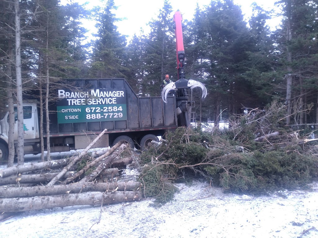 Jerrys Tree Service | 137 Lady Slipper Dr N, Miscouche, PE C0B 1T0, Canada | Phone: (902) 888-7729